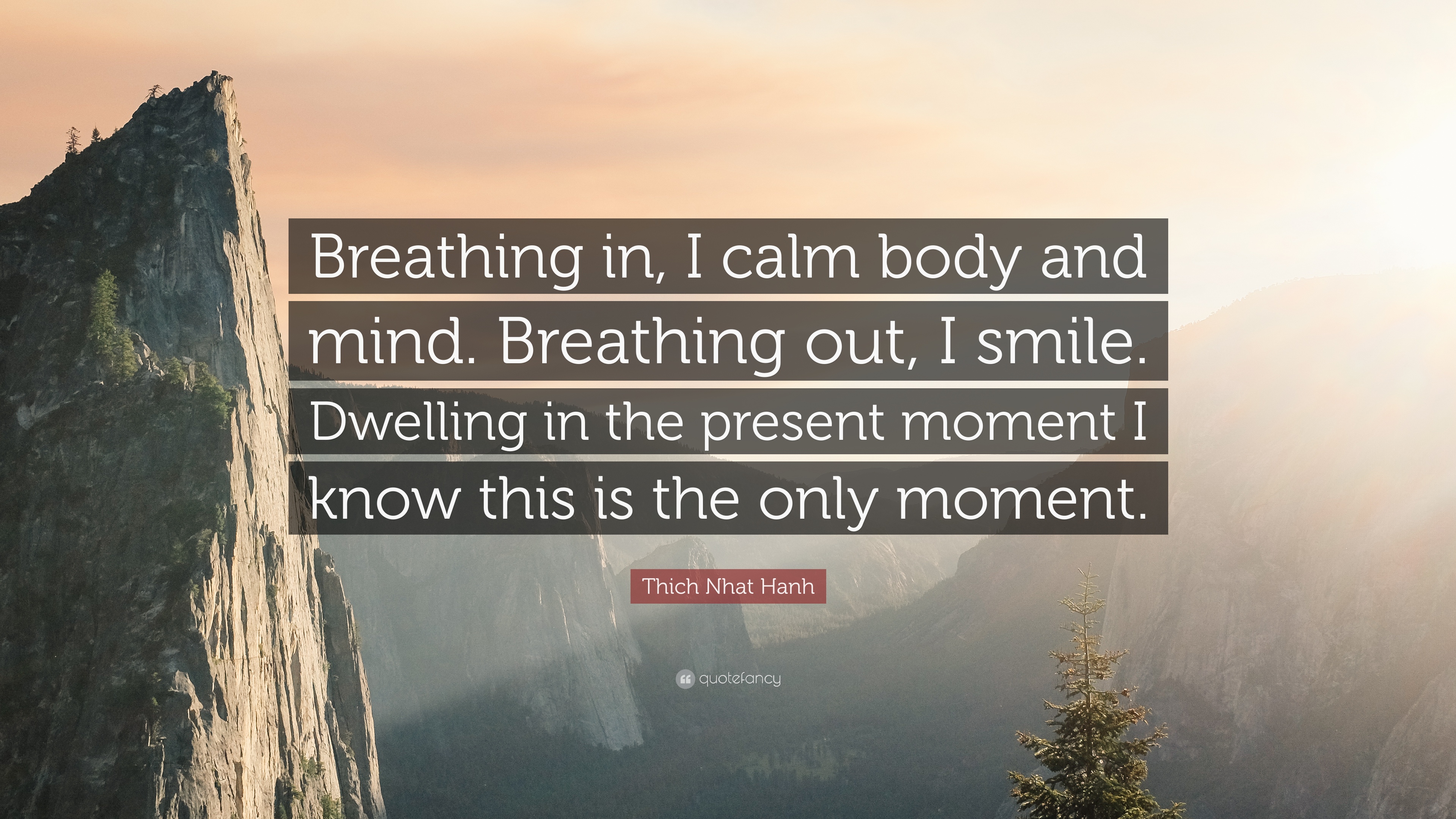 360179-Thich-Nhat-Hanh-Quote-Breathing-in-I-calm-body-and-mind-Breathing