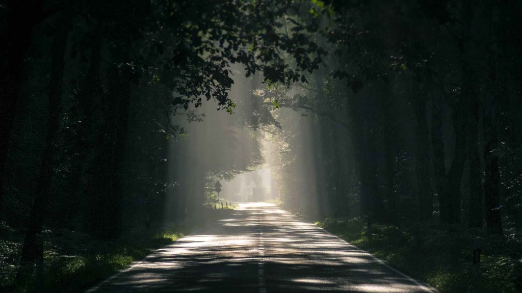 Acceptance: belajar hidup menerima&nbsp;rasa