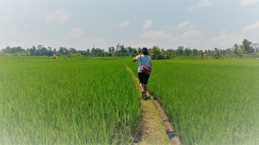 Thank you 2020, welcome&nbsp;2021