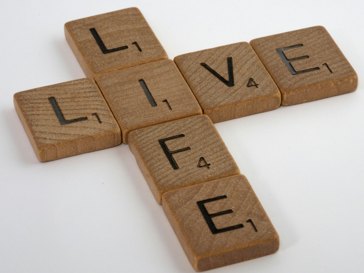 Design Your Life Workshop: Create and Live Your Future&nbsp;Today
